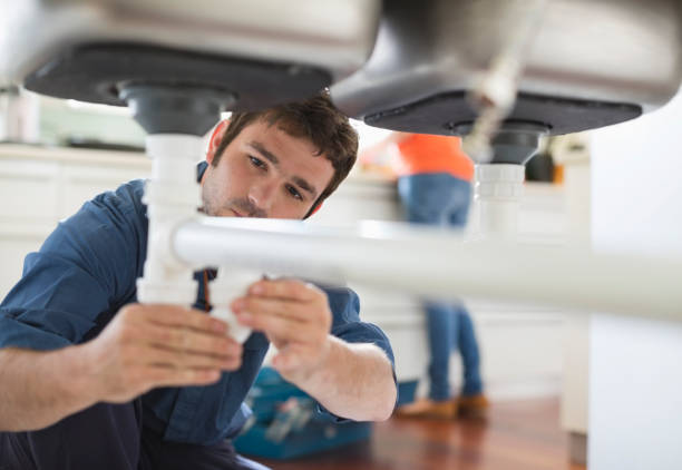 Best Sprinkler Systems  in Theodore, AL